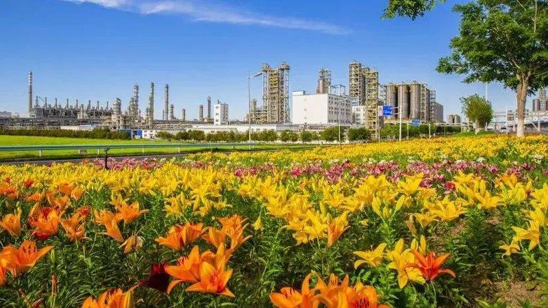 电池材料行业：揭秘龙头公司排名背后的秘密