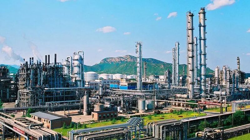 可降解材料与生物基材料：本质区别与关键应用**